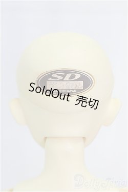 画像4: MSD女の子/フルチョイス:F-09/BJD　球体関節人形 I-25-11-09-260-KD-ZI