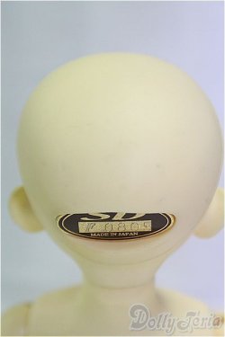 画像5: MSD女の子/フルチョイス:F-09/BJD　球体関節人形 I-25-11-09-260-KD-ZI