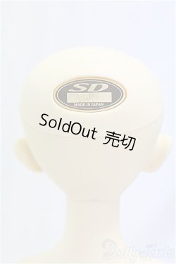 画像4: SD男の子/フルチョイス SD-F-05 I-25-11-16-107-KD-ZI