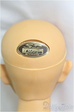 画像7: SD17BOY/橘四郎 I-25-11-09-400-KD-ZI