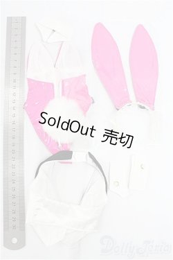 画像2: DD/OF:バニーガールセット/0 I-25-11-16-034-KD-ZI