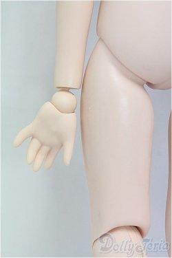 画像3: MDD/ベースボディ(DD-f3) I-25-11-16-119-KD-ZI