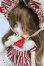 画像2: DOLLCE/ミニスウィーツドールカスタムメイク/ I-25-11-16-062-KD-ZI (2)