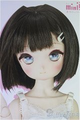 MDD /こうめ　スタンダードモデル I-25-11-16-102-KD-ZI