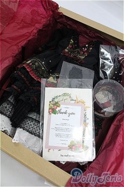 画像7: SD/OF:ドレス I-25-11-23-089-KD-ZI