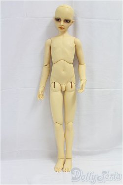 画像5: SD13BOY/教室Aヘッド＋SD13ボディ I-25-11-23-052-KD-ZI