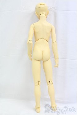 画像6: SD13BOY/教室Aヘッド＋SD13ボディ I-25-11-23-052-KD-ZI