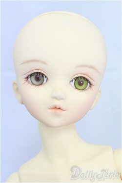 画像2: MSD/健 I-25-11-23-057-KD-ZI