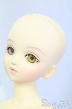 画像3: MSD/健 I-25-11-23-057-KD-ZI