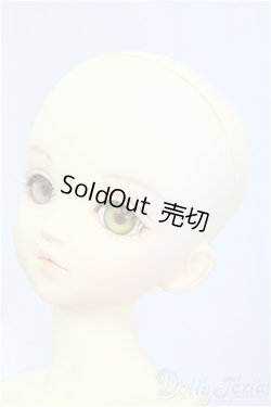 画像3: MSD/健 I-25-11-23-057-KD-ZI