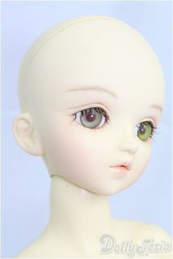 画像4: MSD/健 I-25-11-23-057-KD-ZI