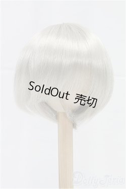 画像1: 9-10inch/ウィッグ/インチ　BJD　MJD　ドール用 I-25-11-23-187-KD-ZI