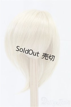 画像1: 8-9inch/ウィッグ/インチ　BJD　MJD　ドール用 I-25-11-23-190-KD-ZI