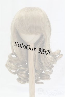 画像1: 9-10inch/ウィッグ/インチ　BJD　MJD　ドール用 I-25-11-23-191-KD-ZI