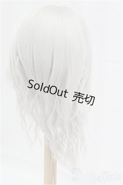 画像2: 9-10inch/ウィッグ/インチ　BJD　MJD　ドール用 I-25-11-23-193-KD-ZI