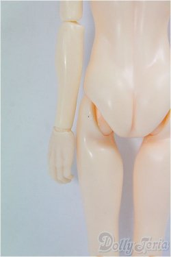 画像6: 六分の一男子図鑑/エイト/0 I-25-11-23-122-KD-ZI