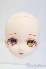 DDH-10/カスタムヘッド/DD/BJD　球体関節人形 I-25-11-23-160-KD-ZI