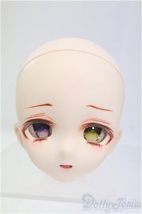 DDH-10/カスタムヘッド/DD/BJD　球体関節人形 I-25-11-23-160-KD-ZI
