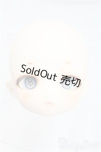 TinyFox/1/6/X-02カスタムヘッド I-25-11-23-210-KD-ZI