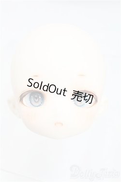 画像1: TinyFox/1/6/X-02カスタムヘッド I-25-11-23-210-KD-ZI