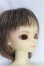 画像3: SDBOY/凌/BJD　球体関節人形 I-25-11-30-291-KD-ZI (3)
