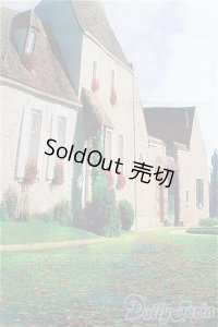 SD/背景布 I-25-11-23-300-KD-ZI