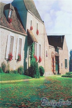 画像1: SD/背景布 I-25-11-23-300-KD-ZI