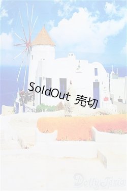 画像2: SD/背景布 I-25-11-23-300-KD-ZI