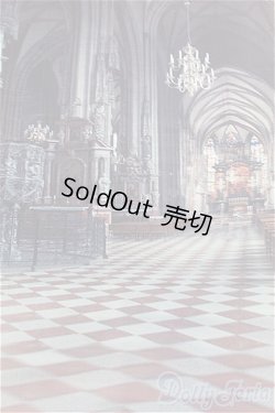 画像3: SD/背景布 I-25-11-23-300-KD-ZI