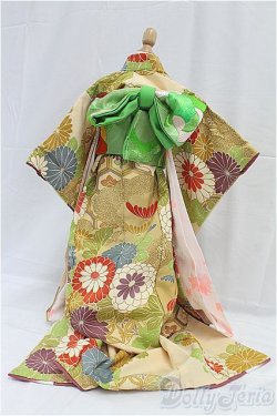 画像3: SD/OF：着物セット I-25-11-23-264-KD-ZI