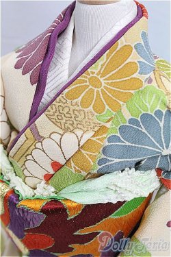 画像4: SD/OF：着物セット I-25-11-23-264-KD-ZI