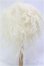 画像2: 9-10inch/モヘアウィッグ/インチ　BJD　MJD　ドール用 I-25-11-30-154-KD-ZI (2)