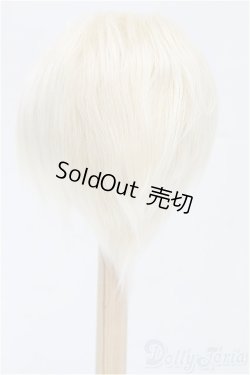 画像2: 9inch/ウィッグ/インチ　BJD　MJD　ドール用 I-25-11-30-150-KD-ZI