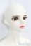 画像4: WITHDOLL/Lupin /BJD　球体関節人形 I-25-11-30-199-KD-ZI (4)