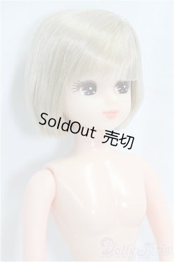 画像3: リカちゃんキャッスル/リカちゃん本体/BJD　球体関節人形 I-25-11-30-171-KD-ZI