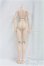 画像2: DD/ベースボディIII/BJD　球体関節人形 I-25-11-30-249-KD-ZI (2)