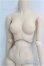 画像3: DD/ベースボディII/BJD　球体関節人形 I-25-11-30-248-KD-ZI (3)