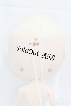 画像10: ネオブライス/カスタム本体/0 I-25-12-14-160-KD-ZI