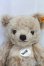 画像1: Steiff(シュタイフ)/テディベアPaddy(パディ)/0 I-25-12-14-152-KD-ZI (1)