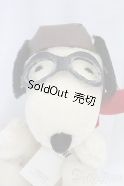 画像1: Steiff(シュタイフ)/SNOOPY　FLYING　ACE　スヌーピー　フライング・エース　/0 I-25-12-14-154-KD-ZI