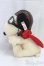 画像4: Steiff(シュタイフ)/SNOOPY　FLYING　ACE　スヌーピー　フライング・エース　/0 I-25-12-14-154-KD-ZI (4)