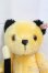 画像1: Steiff(シュタイフ)/SOOTY　スーティーベア/0 I-25-12-14-155-KD-ZI (1)