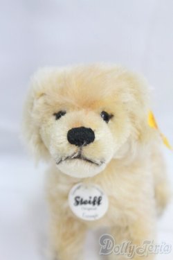 画像1: Steiff(シュタイフ)/Lumpi/0 I-25-12-14-157-KD-ZI