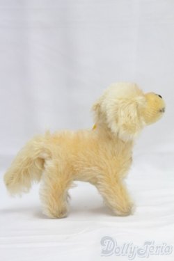 画像3: Steiff(シュタイフ)/Lumpi/0 I-25-12-14-157-KD-ZI