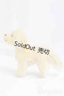 画像4: Steiff(シュタイフ)/Lumpi/0 I-25-12-14-157-KD-ZI