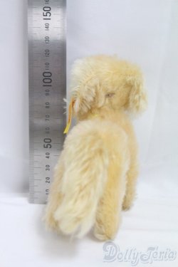 画像5: Steiff(シュタイフ)/Lumpi/0 I-25-12-14-157-KD-ZI