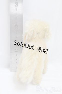 画像5: Steiff(シュタイフ)/Lumpi/0 I-25-12-14-157-KD-ZI