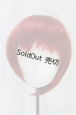 画像1: 8-9inch/ウィッグ I-25-12-07-186-KD-ZI