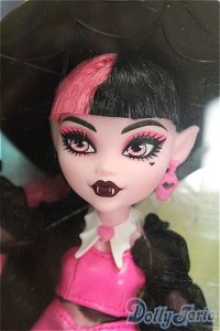 モンスターハイ ドラキュラ ファッションドール ペット カウント ファビュラス＆アクセサリー付き I-25-12-07-257-KD-ZI