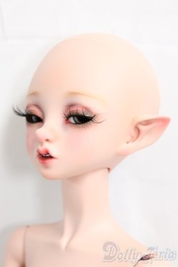 画像2: Peaks Woods/FOC Elf Bliss_Dark Elves I-25-12-14-254-KD-ZI